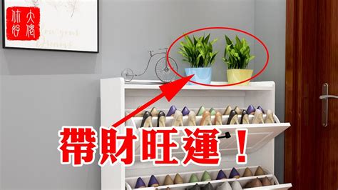 鞋櫃上放植物|鞋櫃適合放什麼植物